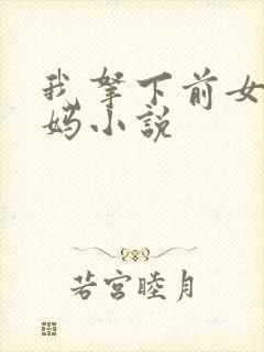 我拿下前女友她妈小说