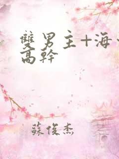 双男主+海棠+高干