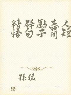 精辟励志人生感悟句子简短