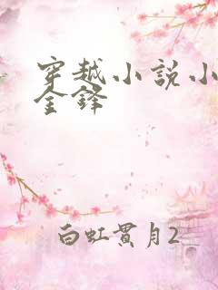 穿越小说小铁匠金锋