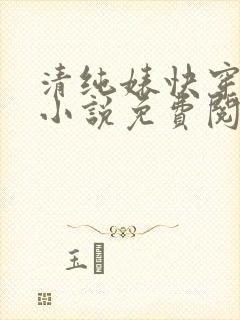 清纯婊快穿日常小说免费阅读
