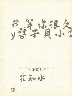 我等你很久了by酱子贝小说阅读