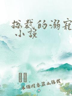 总裁的溺宠甜妻 小说