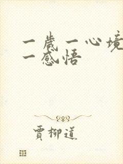 一岁一心境一年一感悟