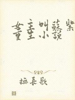 女主叫苏紫宸的重生小说