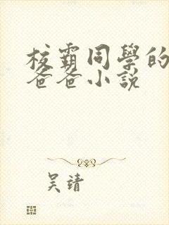 校霸同学的痞坏爸爸小说