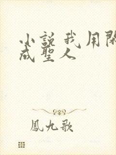 小说 我用闲书成圣人