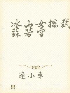 冰山女总裁沈浪苏若雪