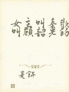 女主叫秦欢男主叫顾韶光的小说