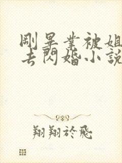 刚毕业被姐姐拉去闪婚小说