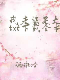 我老婆是大明星txt下载全本