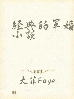 经典的军婚言情小说