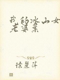 我的冰山女总裁老婆叶