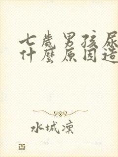 七岁男孩尿裤子什么原因造成的