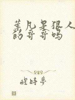 叶凡是狠人大帝的哥哥吗