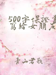 500字保证书写给女朋友