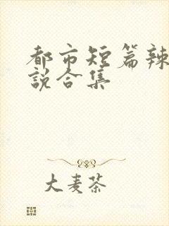 都市短篇辣文小说合集