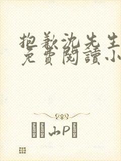 抱歉沈先生全文免费阅读小说