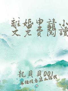 离婚申请小说全文免费阅读笔趣阁