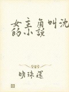 女主角叫沈婉婷的小说