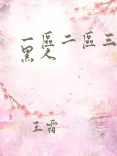 一区二区三区 黑人