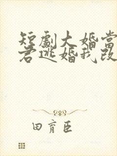 短剧大婚当日夫君逃婚我改嫁