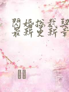 闪婚总裁契约妻最新更新章节