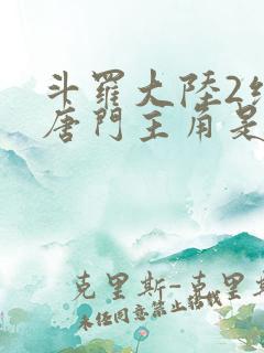 斗罗大陆2绝世唐门主角是谁