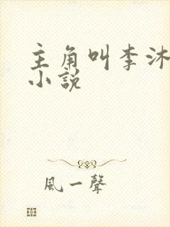主角叫李沐尘的小说