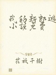 我的新郎逃婚了小说免费