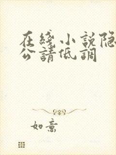 在线小说隐婚老公请低调