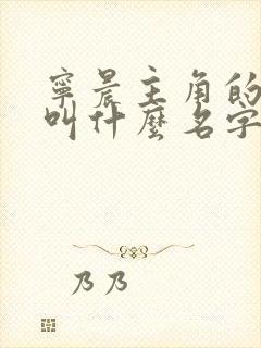 宁晨主角的小说叫什么名字