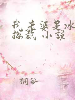 我老婆是冰山女总裁 小说