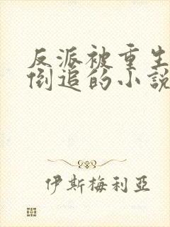 反派被重生女主倒追的小说