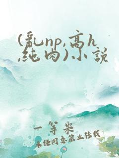 (乱np,高h,纯肉)小说