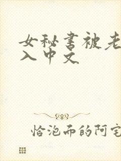 女秘书被老板插入中文