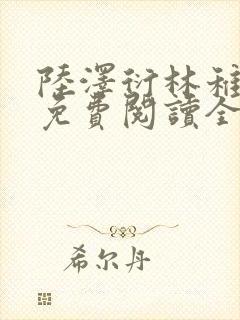 陆泽衍林稚小说免费阅读全文