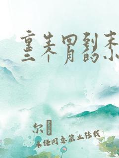 重生回到末世前三个月的小说