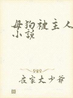 母狗被主人调教小说