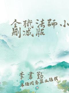 全职法师小说无删减版