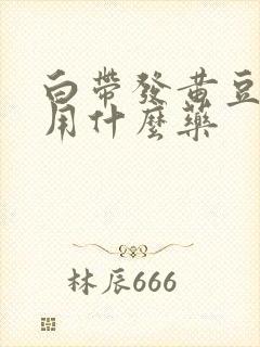 白带发黄豆腐渣用什么药