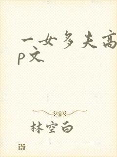 一女多夫高辣np文
