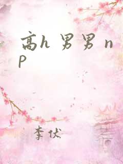 高h 男男 np
