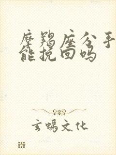 摩羯座分手了还能挽回吗