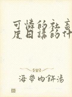 可怜的社畜 东度日讲的什么