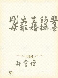 刚出生的婴儿父母离婚抚养权归谁