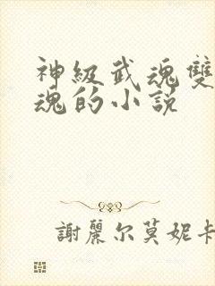 神级武魂双生武魂的小说