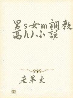 男s女m调教(高h)小说