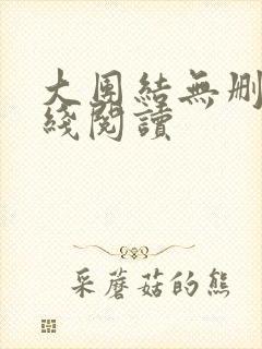 大团结无删减在线阅读