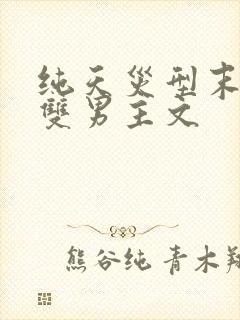 纯天灾型末世文双男主文